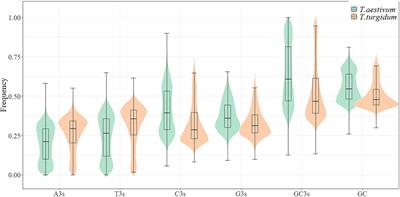 Comparative Analysis of Genomic and Transcriptome Sequences Reveals Divergent Patterns of Codon Bias in Wheat and Its Ancestor Species